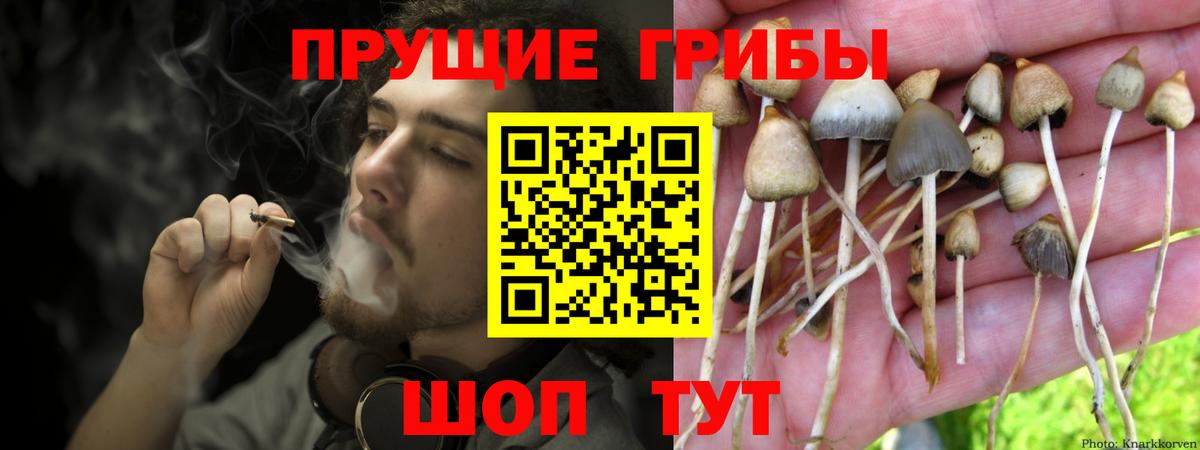 Галлюциногенные грибы MAGIC MUSHROOMS Пушкино